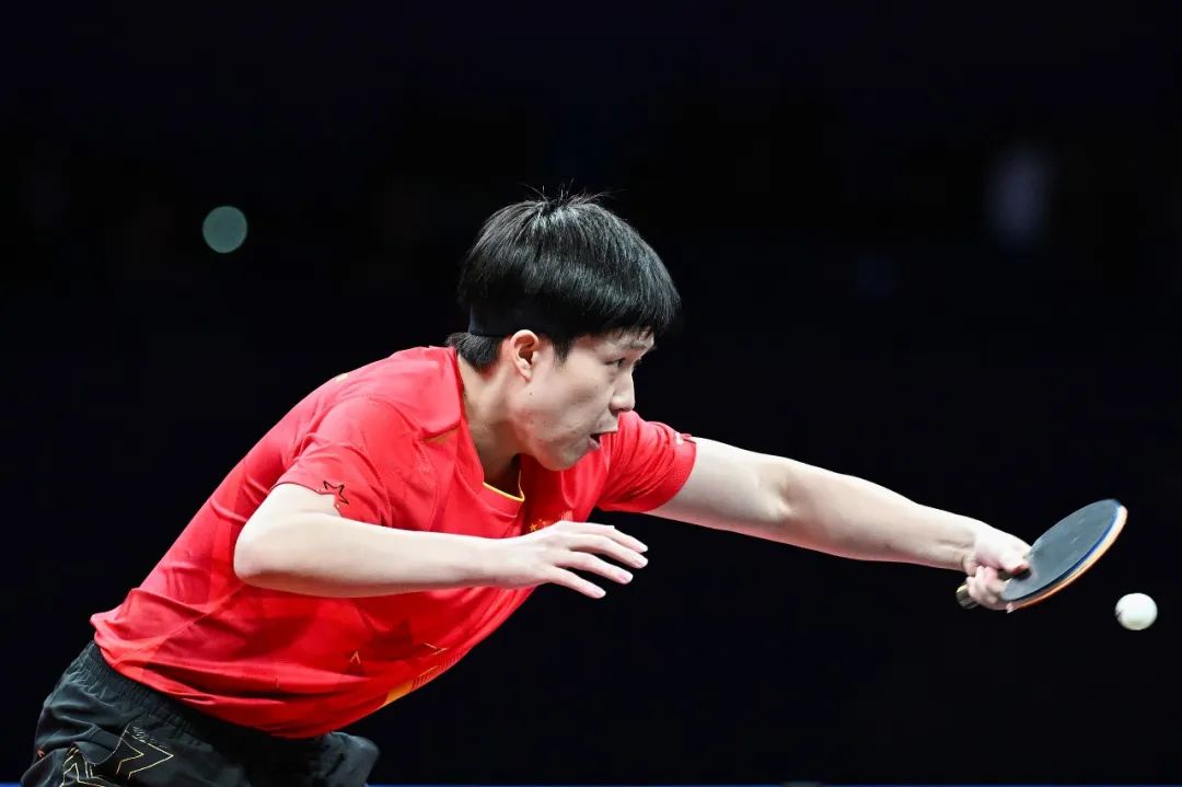 展现了极高 展现了极高