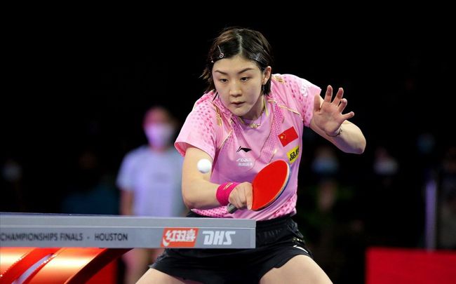 本届赛事的 本届赛事的